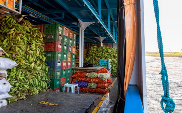 Stacked boxes with tropical fruits, bags and heaps of green bana