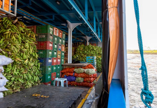 Stacked boxes with tropical fruits, bags and heaps of green bana
